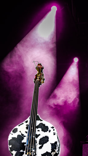 HUSI2817 Verbessert RR